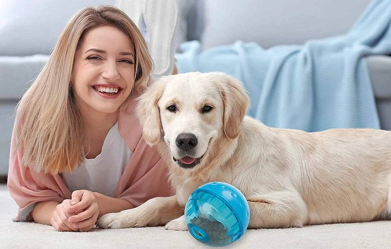 How To Buy The Best Interactive Dog Toys