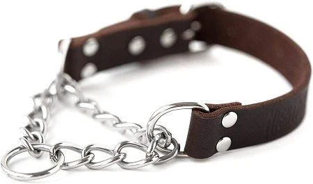 Mighty Paw Martingale
