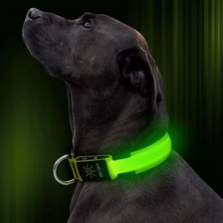 Illumifun Dog Collar