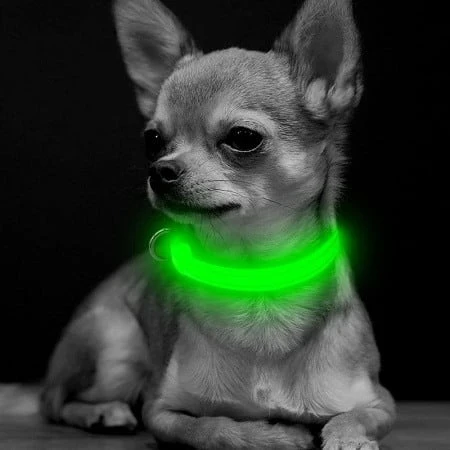 Bseen Reflective Dog Collar