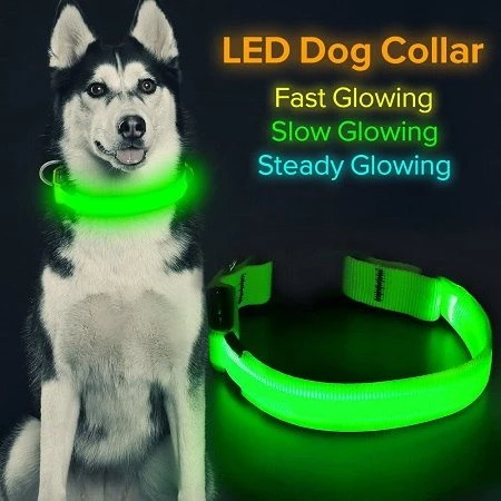 HiGuard Dog Collar