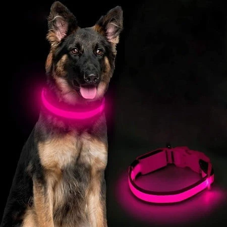 Ezier Dog Collar