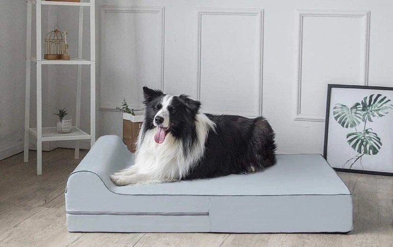 Other Recommended Memory Foam Dog Beds