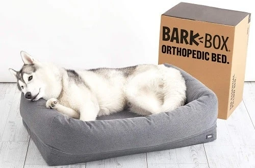 Barkbox Dog Bed