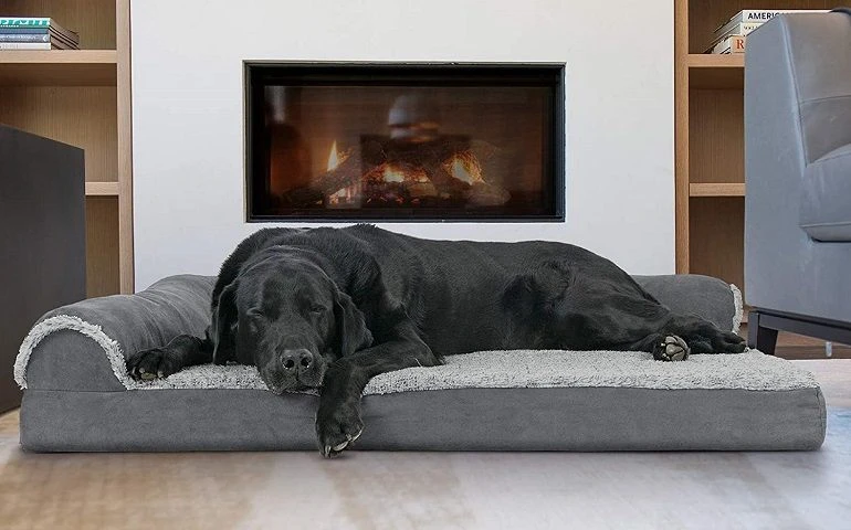 How To Buy The Best Memory Foam Dog Beds