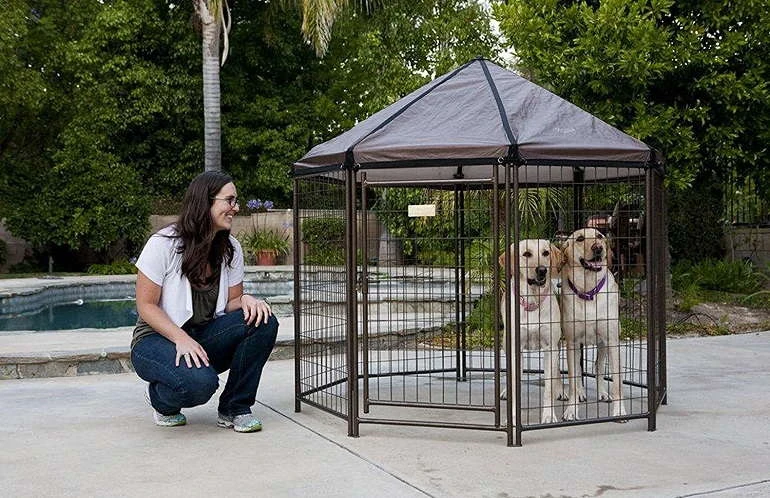 How To Buy The Best Outdoor Dog Kennels