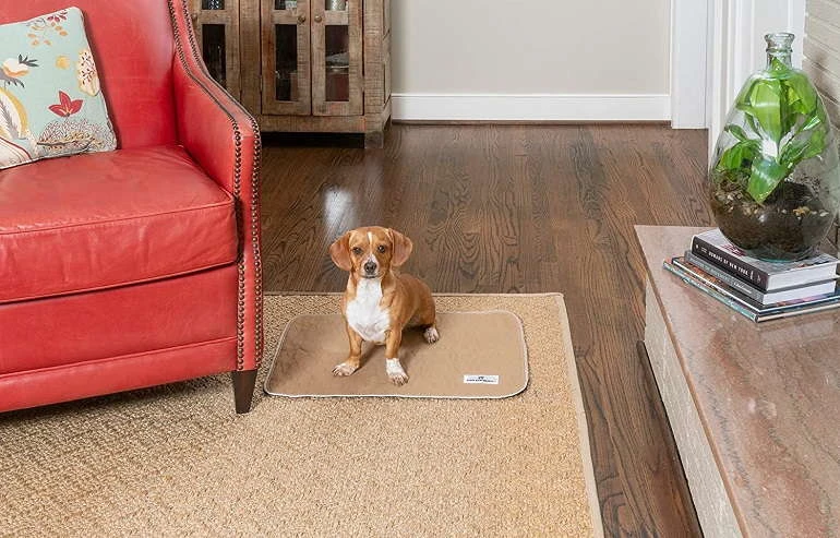 How To Buy The Best Puppy Pads