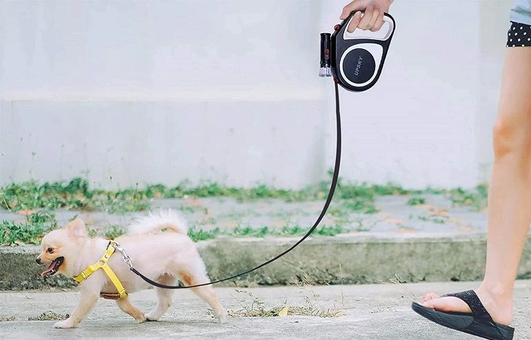 Safety Tips When Walking With A Retractable Dog Leash
