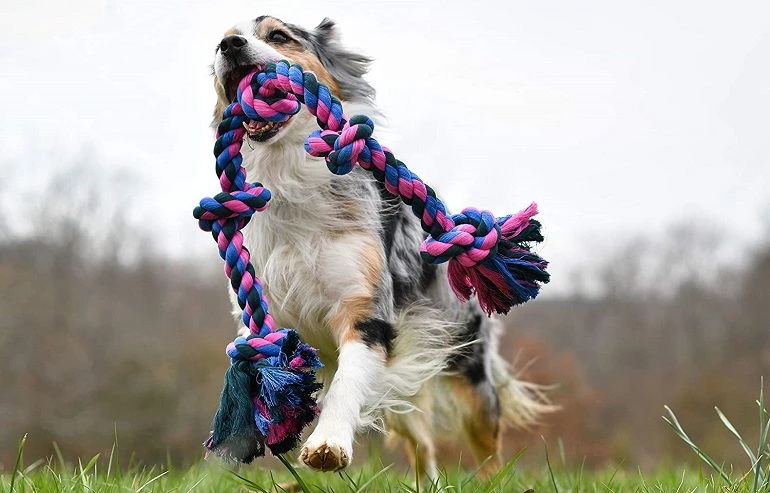 Other Recommended Ropes for Dog Toys