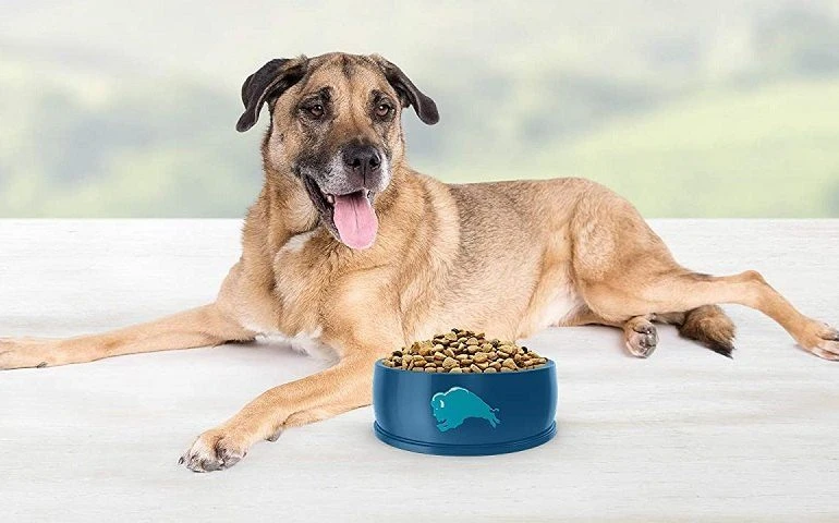 How To Buy The Best Senior Dog Foods