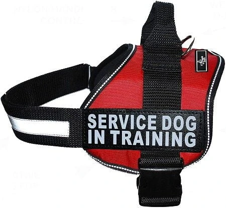 Doggie Stylz Service Dog Vest