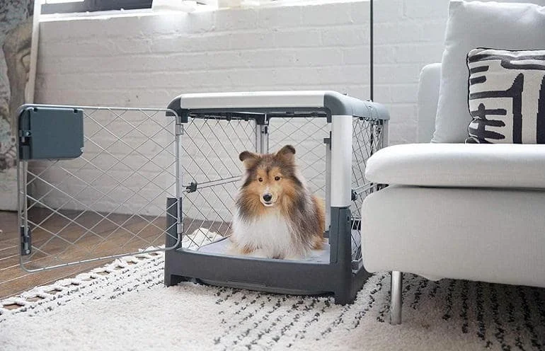 How To Buy The Best Small Dog Crates
