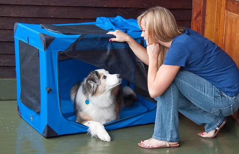 Other Recommended Soft Dog Crates