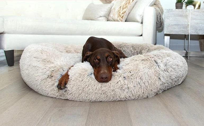 Other Recommended Washable Dog Beds