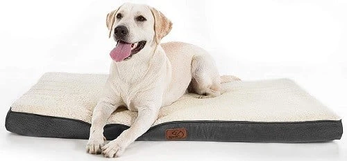 Bedsure Orthopedic Foam Dog Bed