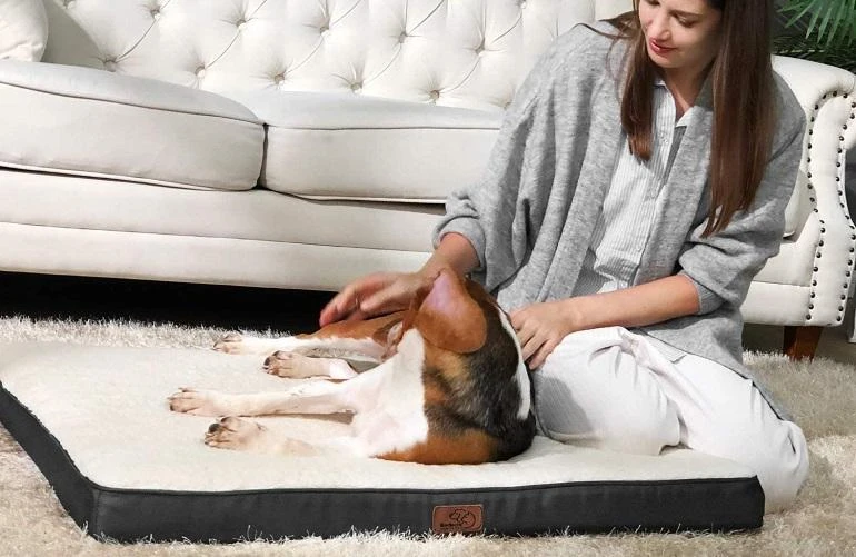 How To Buy The Best Washable Dog Beds - Bedsure
