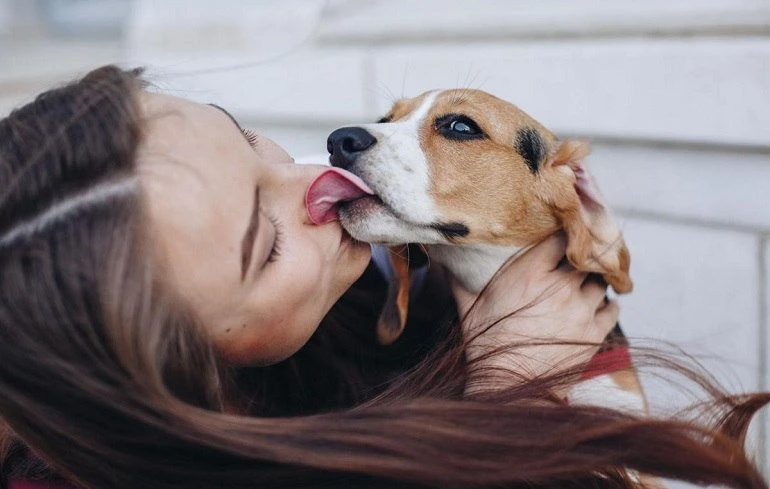 Signs Of Dogs Feeling Kisses