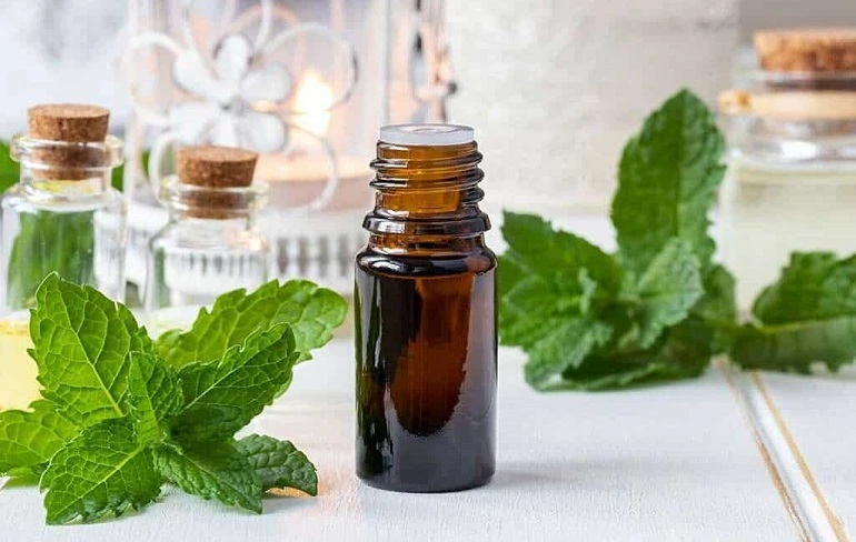 Is Peppermint Oil Safe For Dogs? Does It Repel Fleas?
